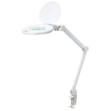 LED Aptumšojama galda lampa ar palielināmo stiklu LED/10W/230V balta