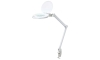 LED Aptumšojama galda lampa ar palielināmo stiklu LED/10W/230V balta