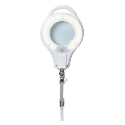 LED Aptumšojama galda lampa ar palielināmo stiklu LED/10W/230V balta