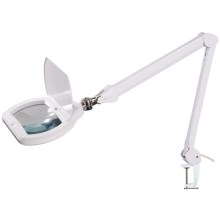 LED Aptumšojama galda lampa ar palielināmo stiklu LED/12W/230V balta