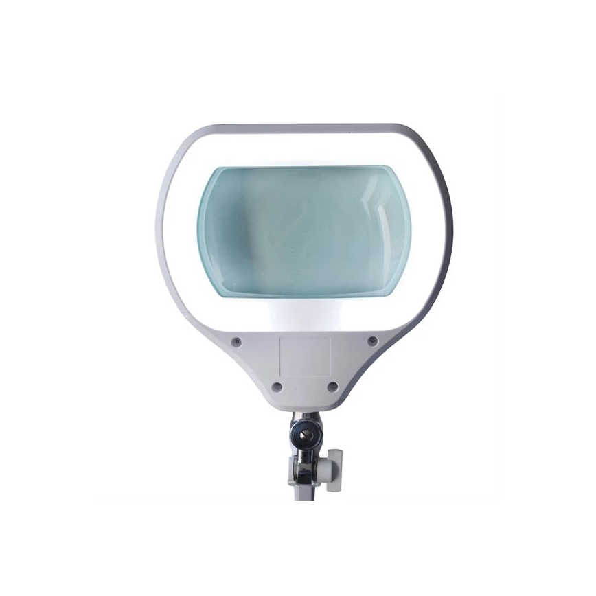 LED Aptumšojama galda lampa ar palielināmo stiklu LED/12W/230V balta
