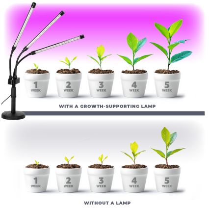 LED Aptumšojama flexible galda lampa augu audzēšanai VITARO 3xLED/10W/230V melna