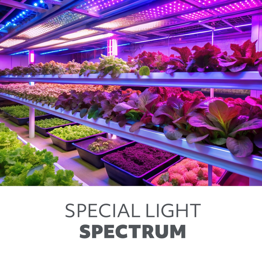 LED Aptumšojama pielāgojama galda lampa augu audzēšanai VITARO 4xLED/10W/230V melna