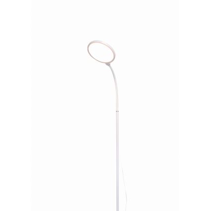 LED Aptumšojama grīdas stāvlampa 2in1 LED/10W/230V balta