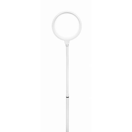LED Aptumšojama grīdas stāvlampa 2in1 LED/10W/230V balta