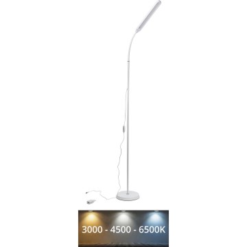 LED Aptumšojama grīdas stāvlampa SIGNUS LED/10W/230V 3000/4500/6500K balta