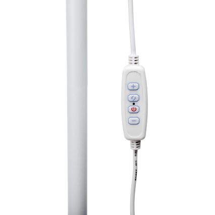 LED Aptumšojama grīdas stāvlampa SIGNUS LED/10W/230V 3000/4500/6500K balta