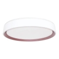 LED Aptumšojama griestu lampa ar balss vadību OPAL LED/48W/230V 2700-6500K balta + tālvadības pults