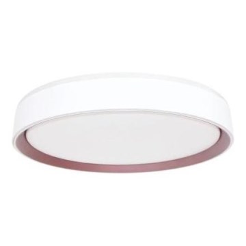 LED Aptumšojama griestu lampa ar balss vadību OPAL LED/48W/230V 2700-6500K balta + tālvadības pults