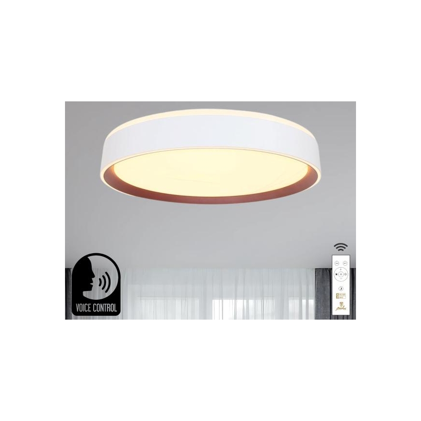 LED Aptumšojama griestu lampa ar balss vadību OPAL LED/48W/230V 2700-6500K balta + tālvadības pults