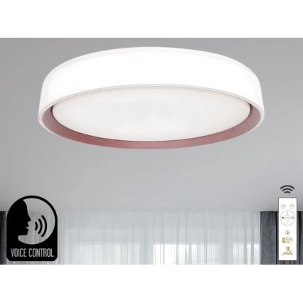 LED Aptumšojama griestu lampa ar balss vadību OPAL LED/48W/230V 2700-6500K balta + tālvadības pults