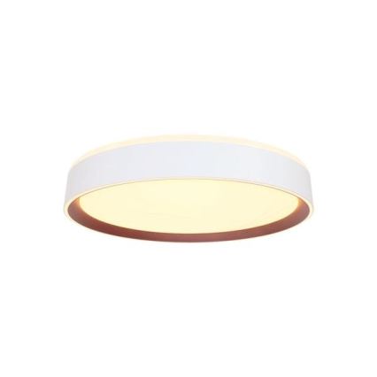 LED Aptumšojama griestu lampa ar balss vadību OPAL LED/48W/230V 2700-6500K balta + tālvadības pults