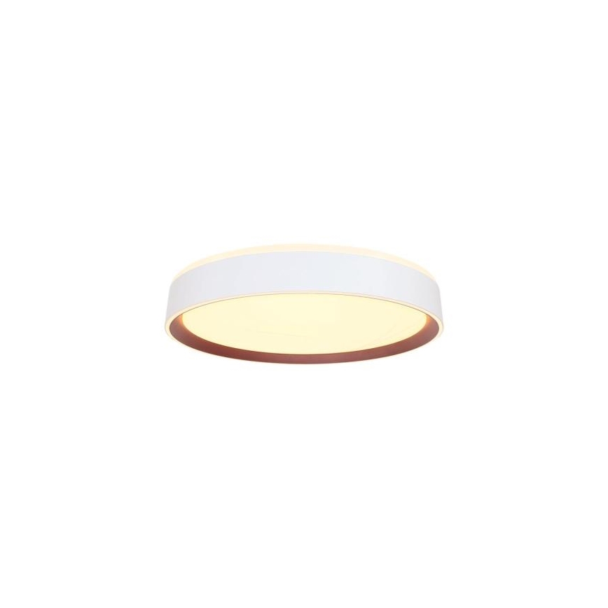 LED Aptumšojama griestu lampa ar balss vadību OPAL LED/48W/230V 2700-6500K balta + tālvadības pults