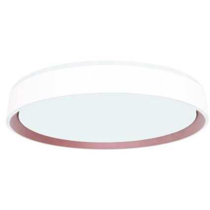 LED Aptumšojama griestu lampa ar balss vadību OPAL LED/48W/230V 2700-6500K balta + tālvadības pults