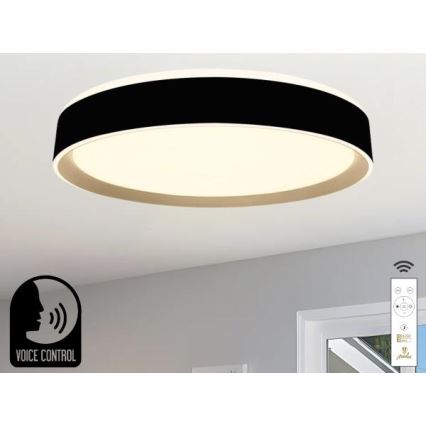 LED Aptumšojama griestu lampa ar balss vadību OPAL LED/48W/230V 2700-6500K melna + tālvadības pults