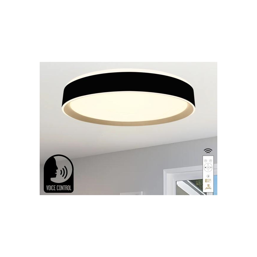 LED Aptumšojama griestu lampa ar balss vadību OPAL LED/48W/230V 2700-6500K melna + tālvadības pults