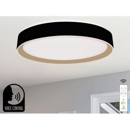 LED Aptumšojama griestu lampa ar balss vadību OPAL LED/48W/230V 2700-6500K melna + tālvadības pults