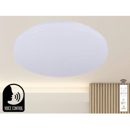 LED Aptumšojama griestu lampa ar balss vadību OPAL LED/48W/230V 2700-6500K balta + tālvadības pults