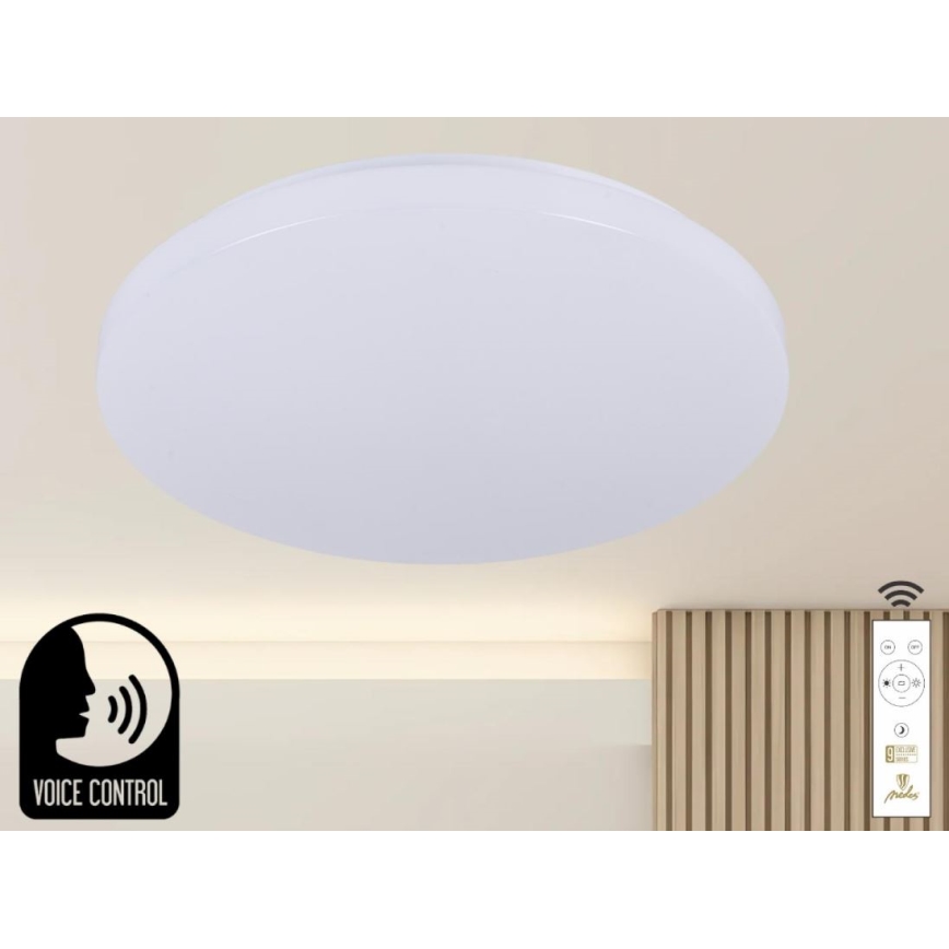 LED Aptumšojama griestu lampa ar balss vadību OPAL LED/48W/230V 2700-6500K balta + tālvadības pults