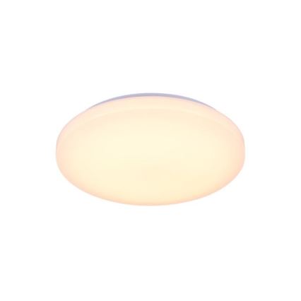LED Aptumšojama griestu lampa ar balss vadību OPAL LED/48W/230V 2700-6500K balta + tālvadības pults