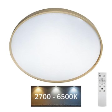 LED Aptumšojama griestu lampa DRINA LED/36W/230V 2700-6500K d. 50 cm + tālvadības pults