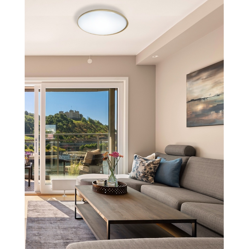 LED Aptumšojama griestu lampa DRINA LED/36W/230V 2700-6500K d. 50 cm + tālvadības pults