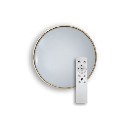 LED Aptumšojama griestu lampa DRINA LED/36W/230V 2700-6500K d. 50 cm + tālvadības pults