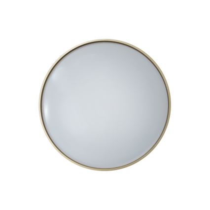LED Aptumšojama griestu lampa DRINA LED/36W/230V 2700-6500K d. 50 cm + tālvadības pults