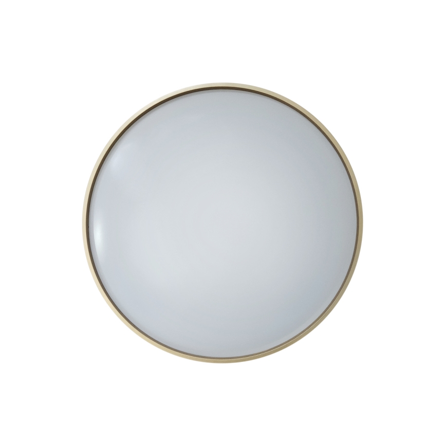 LED Aptumšojama griestu lampa DRINA LED/36W/230V 2700-6500K d. 50 cm + tālvadības pults