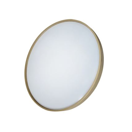 LED Aptumšojama griestu lampa DRINA LED/36W/230V 2700-6500K d. 50 cm + tālvadības pults
