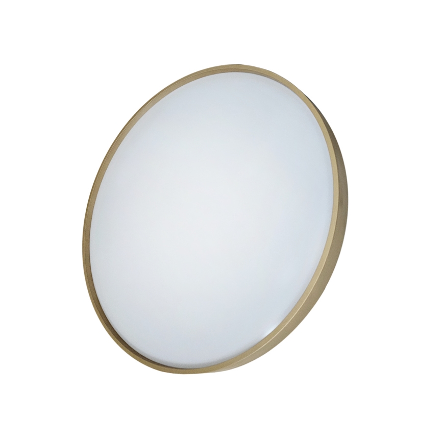 LED Aptumšojama griestu lampa DRINA LED/36W/230V 2700-6500K d. 50 cm + tālvadības pults
