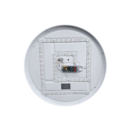 LED Aptumšojama griestu lampa EBRO LED/36W/230V 2700-6500K d. 50 cm + tālvadības pults