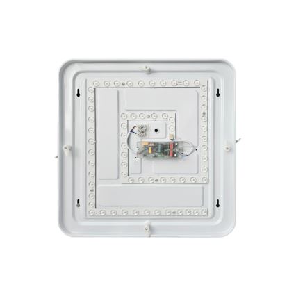 LED Aptumšojama griestu lampa FLORA LED/36W/230V 2700-6500K 43x43 cm + tālvadības pults