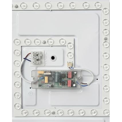LED Aptumšojama griestu lampa FLORA LED/36W/230V 2700-6500K 43x43 cm + tālvadības pults