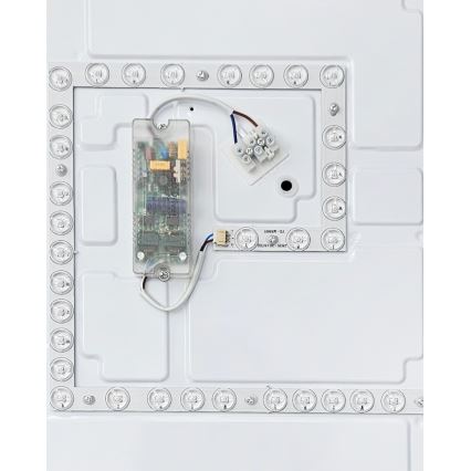 LED Aptumšojama griestu lampa FLORA LED/60W/230V 2700-6500K 53x53 cm + tālvadības pults