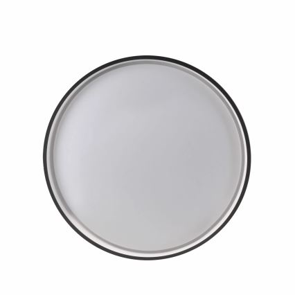 LED Aptumšojama vannas istabas griestu lampa JADWIGA LED/42W/230V d. 38,5 cm 3000-6000K IP44 + tālvadības pults