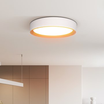 LED Aptumšojama griestu lampa LARIOS LED/48W/230V 3000-6500K d. 39 cm balta + tālvadības pults