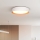 LED Aptumšojama griestu lampa LARIOS LED/48W/230V 3000-6500K d. 39 cm balta + tālvadības pults
