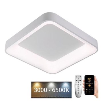 LED Aptumšojama griestu lampa LED/45W/230V 3000-6500K balta + tālvadības pults