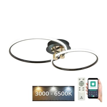LED Aptumšojama griestu lampa LED/48W/230V 3000-6500K + tālvadības pults