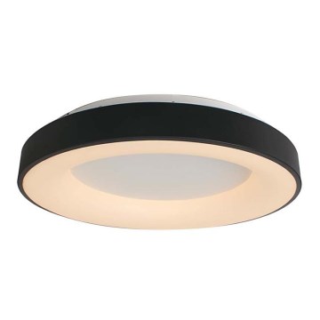 LED Aptumšojama griestu lampa LED/49W/230V 3000K d. 60 cm melna