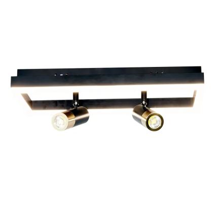 LED Aptumšojama griestu lampa LED/50W/230V 3000-6500K melna + tālvadības pults