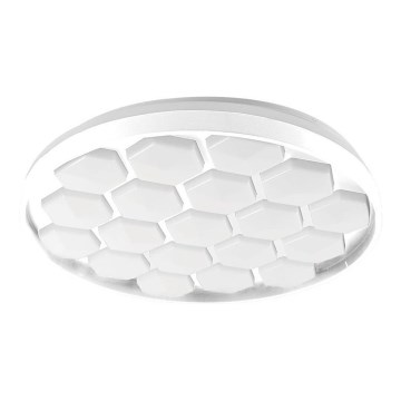 LED Aptumšojama griestu lampa LED/60W/230V 3000/4000/6500K + tālvadības pults