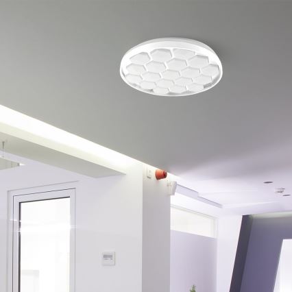 LED Aptumšojama griestu lampa LED/60W/230V 3000/4000/6500K d. 49 cm + tālvadības pults