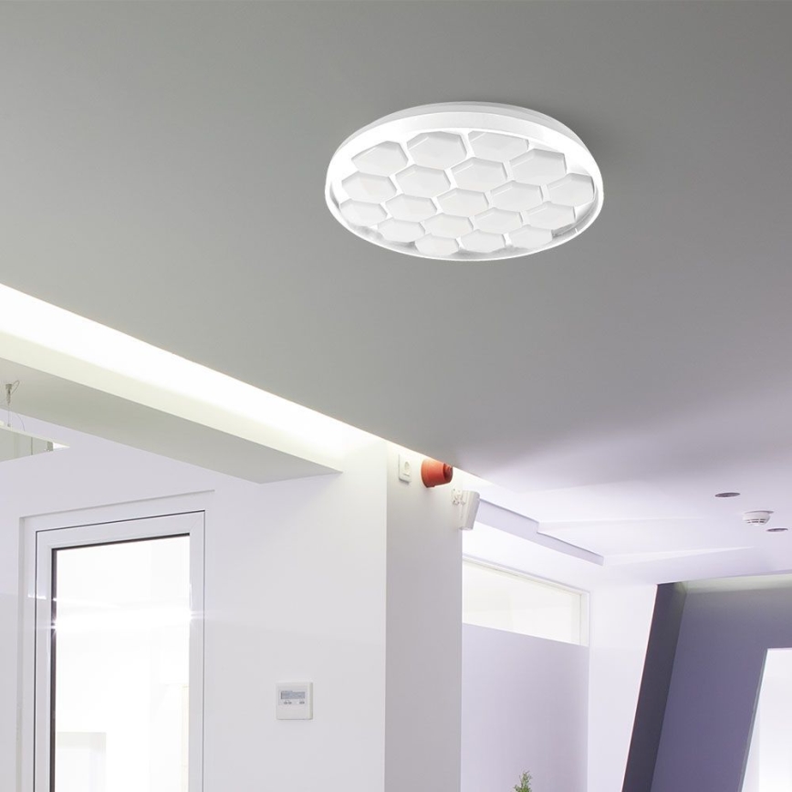 LED Aptumšojama griestu lampa LED/60W/230V 3000/4000/6500K d. 49 cm + tālvadības pults