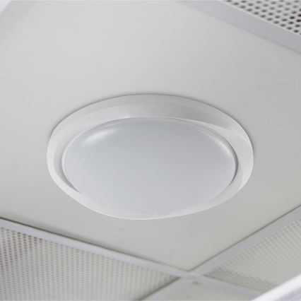 LED Aptumšojama griestu lampa LED/60W/230V 3000-6500K 49,2 cm balta + tālvadības pults
