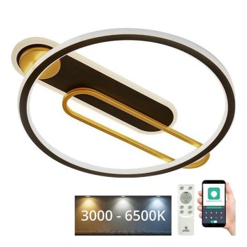 LED Aptumšojama griestu lampa LED/60W/230V 3000-6500K melna + tālvadības pults