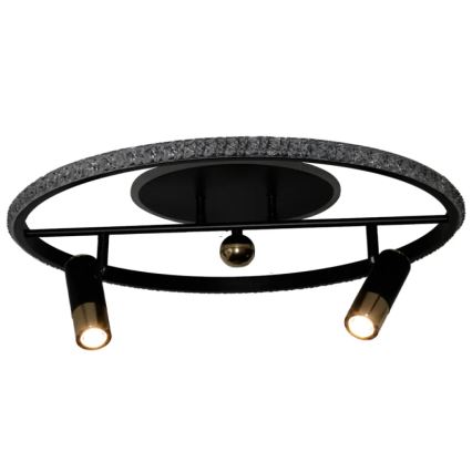LED Aptumšojama griestu lampa LED/60W/230V 3000-6500K melna + tālvadības pults