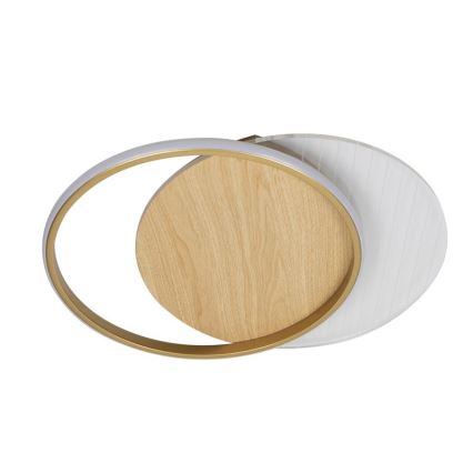 LED Aptumšojama griestu lampa LED/60W/230V 3000-6500K + tālvadības pults
