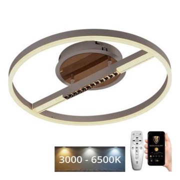 LED Aptumšojama griestu lampa LED/60W/230V 3000-6500K + tālvadības pults